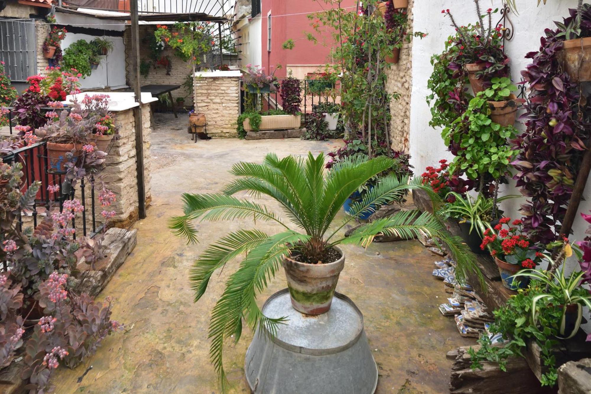 Suite Dona Ines Barrio Santacruz Севиля Екстериор снимка