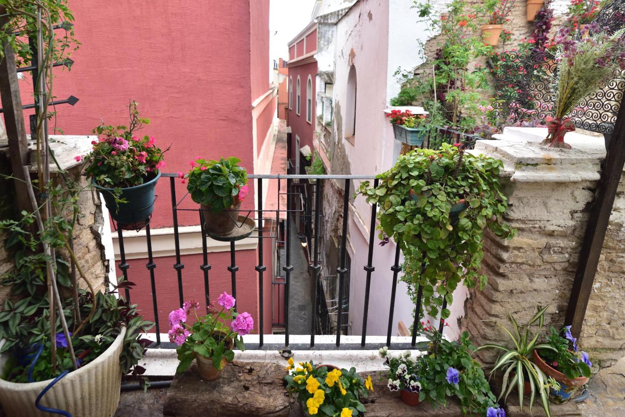 Suite Dona Ines Barrio Santacruz Севиля Екстериор снимка